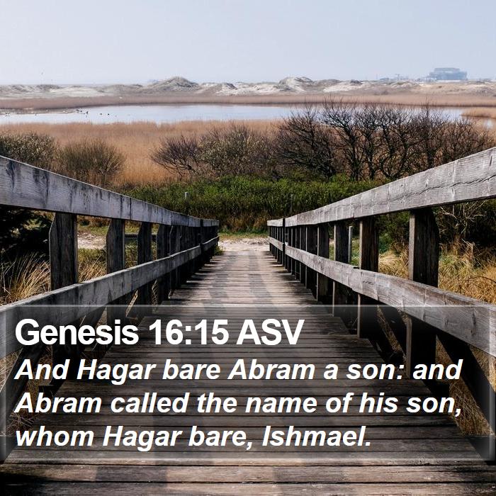 Genesis 16:15 ASV Bible Study