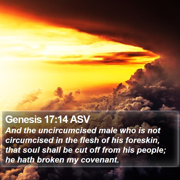 Genesis 17:14 ASV Bible Study