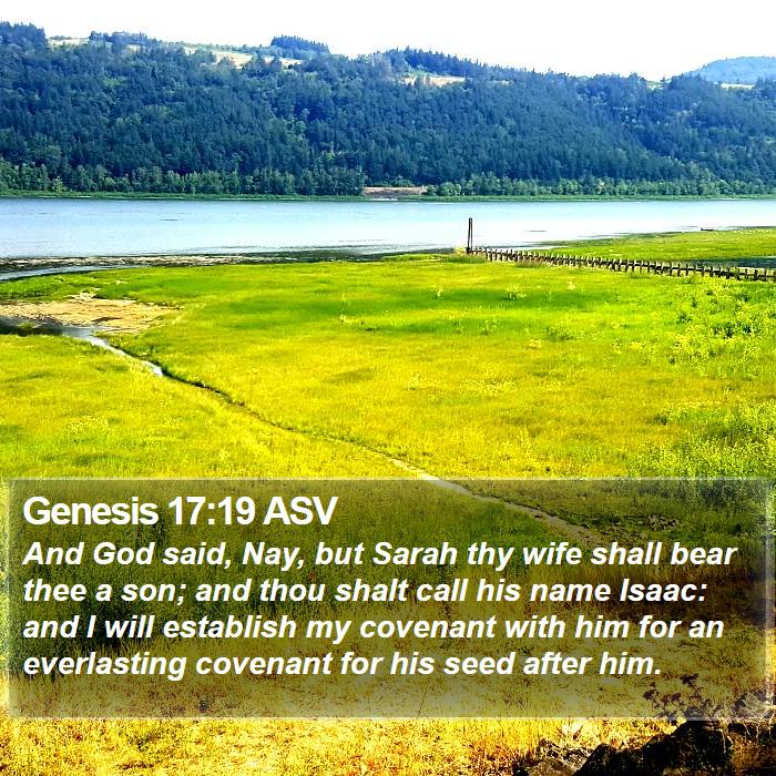 Genesis 17:19 ASV Bible Study