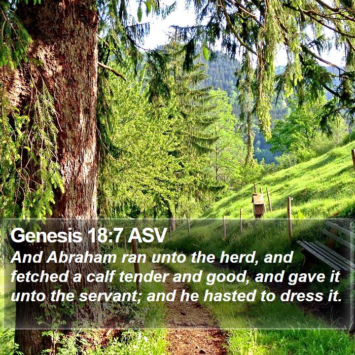 Genesis 18:7 ASV Bible Study