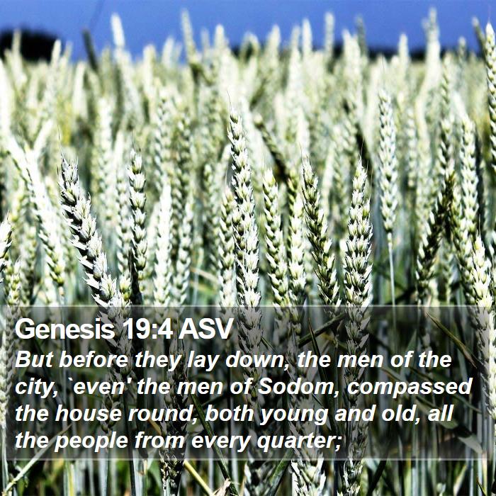 Genesis 19:4 ASV Bible Study