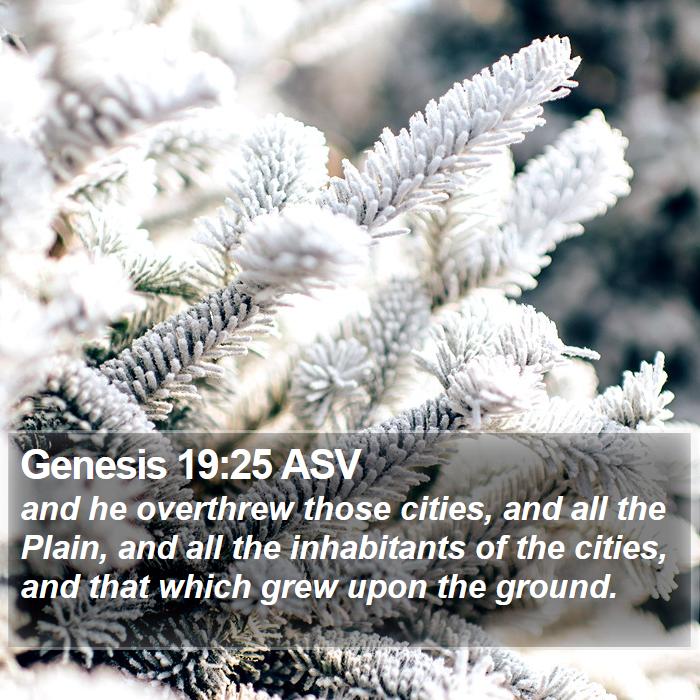 Genesis 19:25 ASV Bible Study