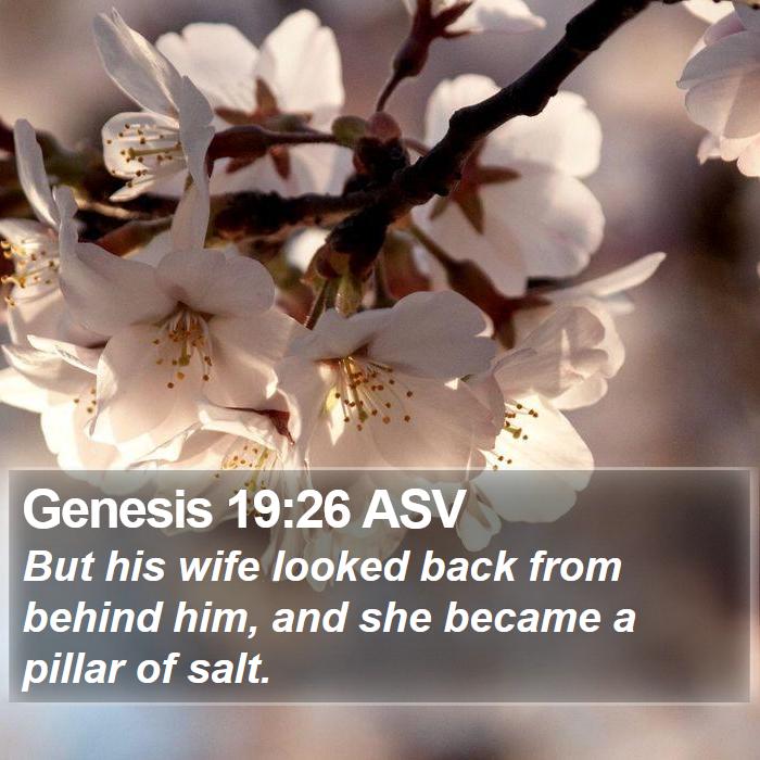 Genesis 19:26 ASV Bible Study