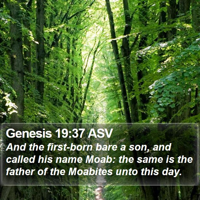 Genesis 19:37 ASV Bible Study