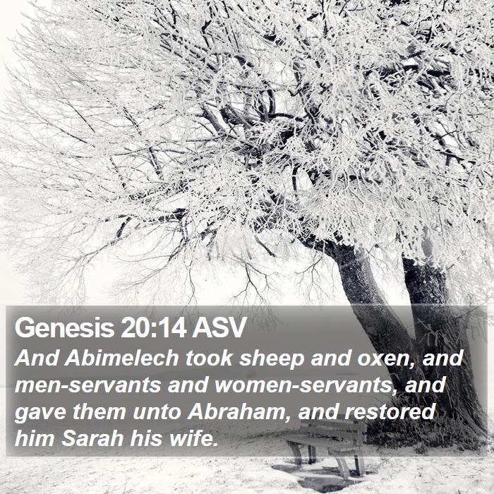 Genesis 20:14 ASV Bible Study