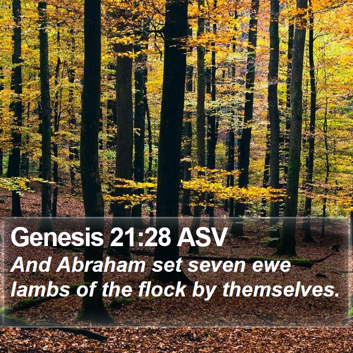 Genesis 21:28 ASV Bible Study