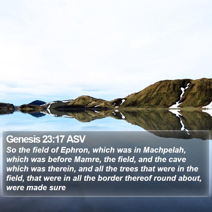 Genesis 23:17 ASV Bible Study