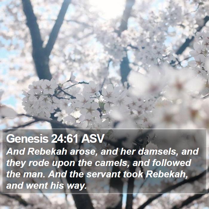 Genesis 24:61 ASV Bible Study