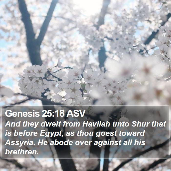 Genesis 25:18 ASV Bible Study