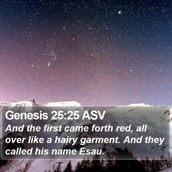 Genesis 25:25 ASV Bible Study