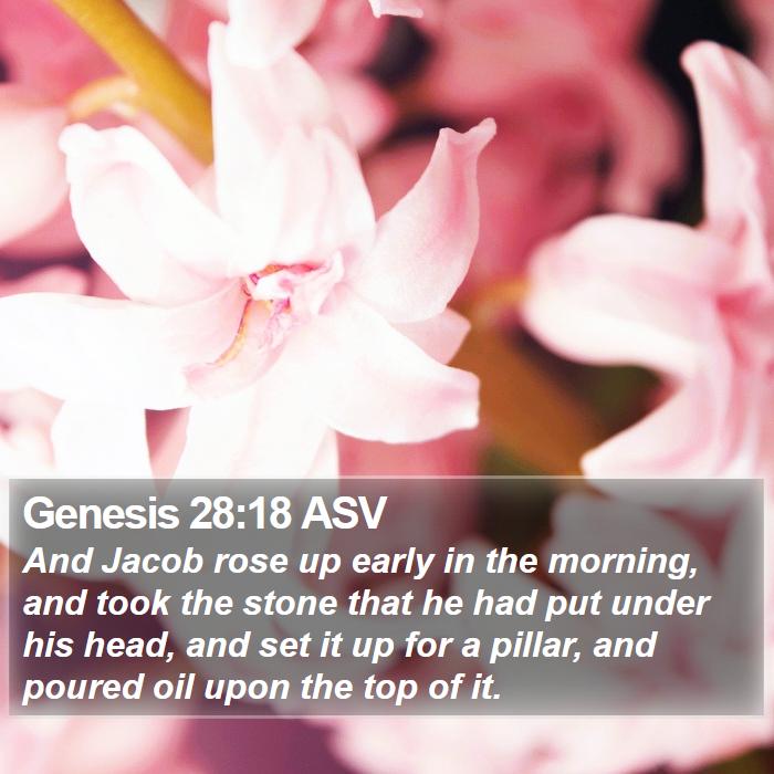 Genesis 28:18 ASV Bible Study