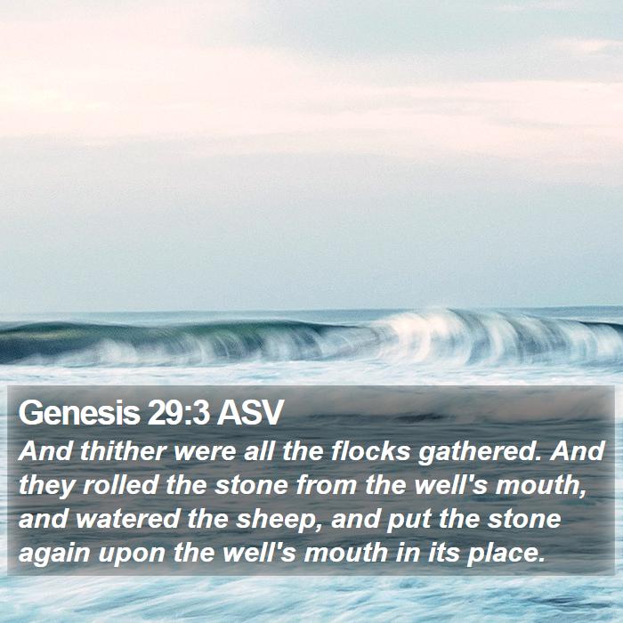 Genesis 29:3 ASV Bible Study