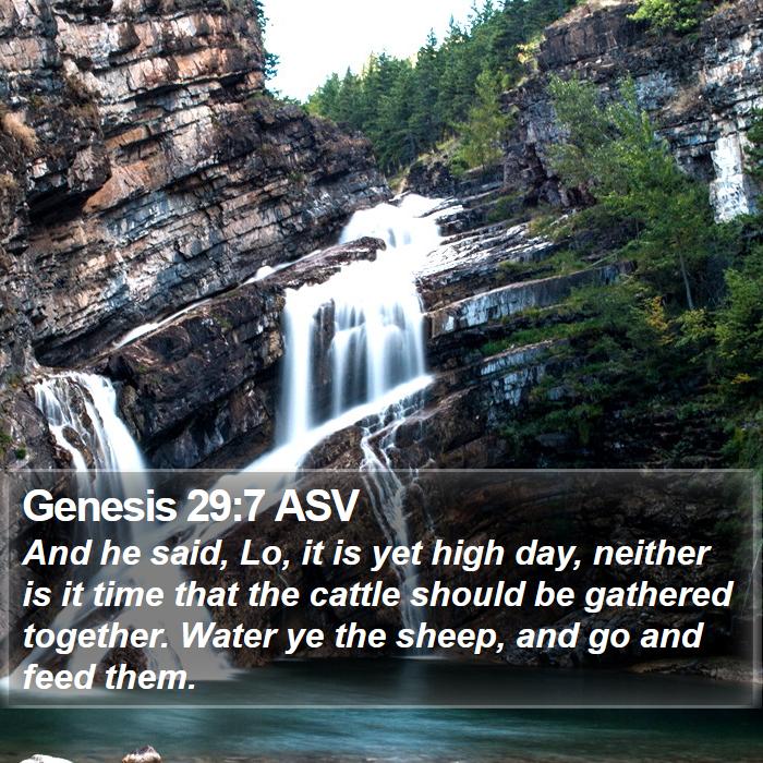 Genesis 29:7 ASV Bible Study