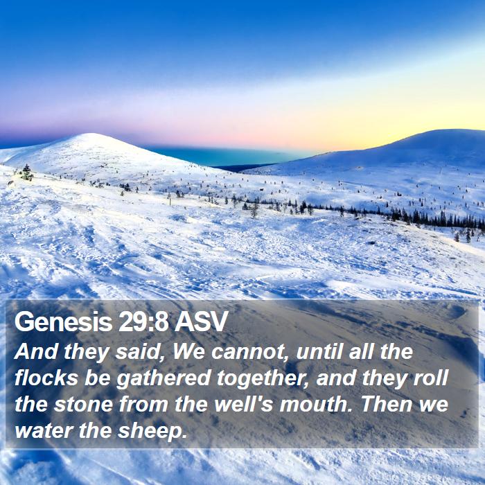 Genesis 29:8 ASV Bible Study