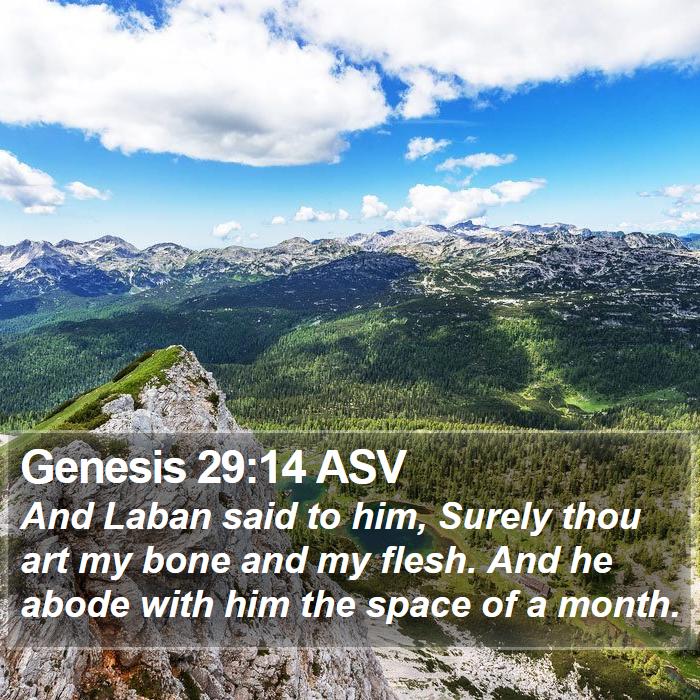 Genesis 29:14 ASV Bible Study