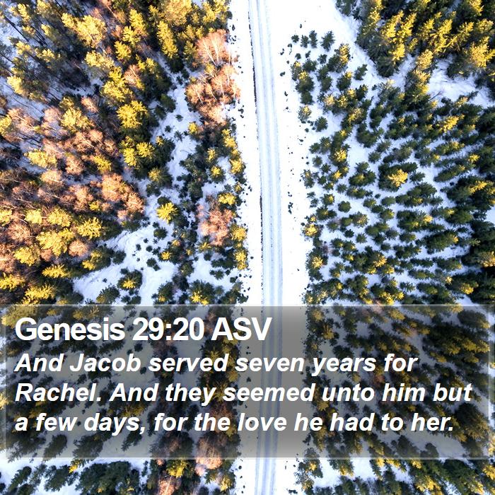 Genesis 29:20 ASV Bible Study