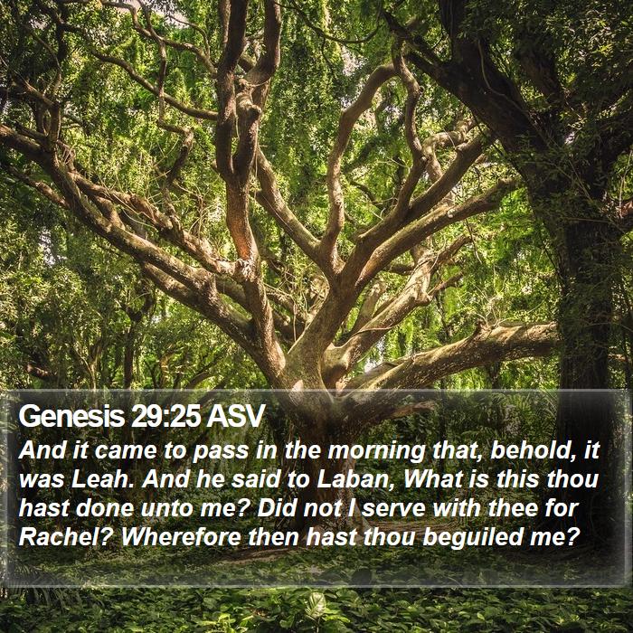 Genesis 29:25 ASV Bible Study