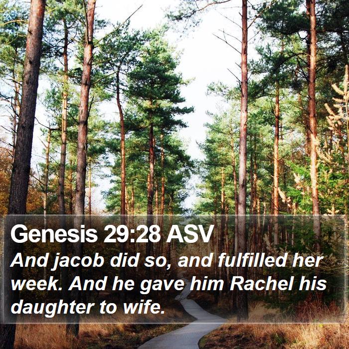 Genesis 29:28 ASV Bible Study