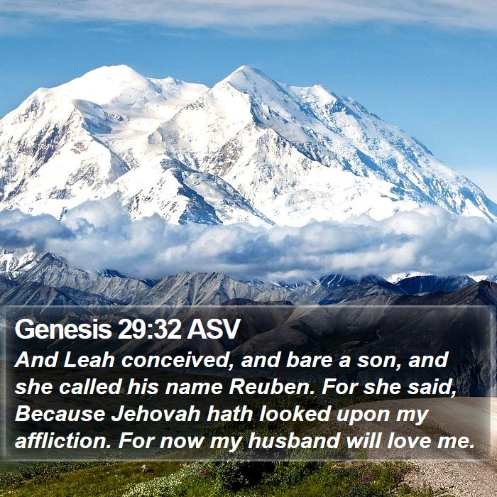 Genesis 29:32 ASV Bible Study