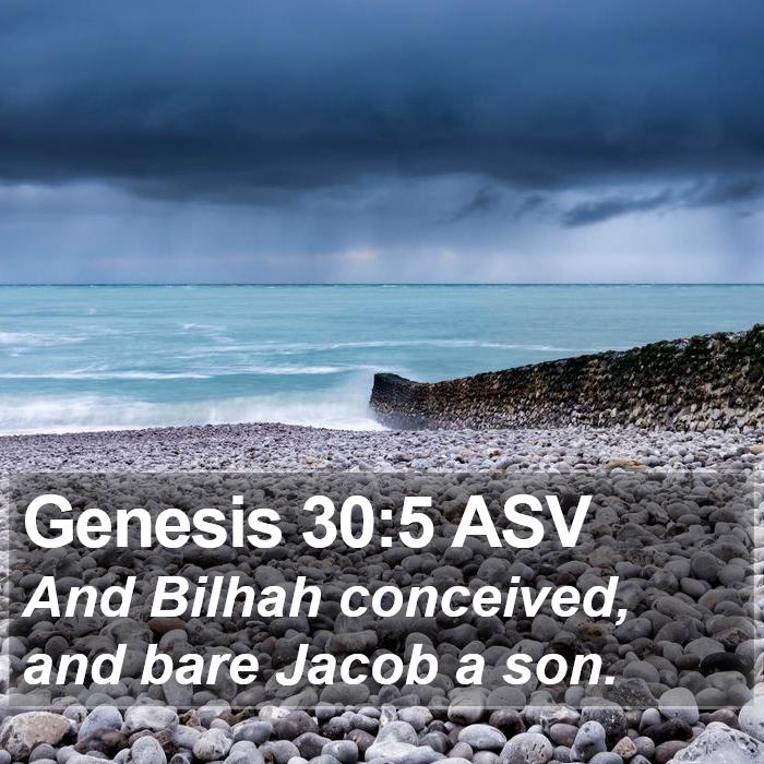 Genesis 30:5 ASV Bible Study