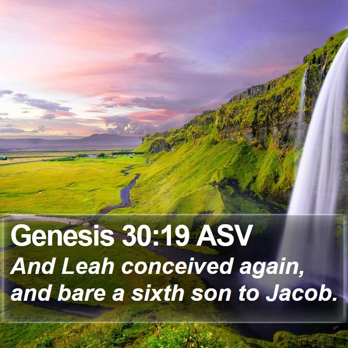 Genesis 30:19 ASV Bible Study