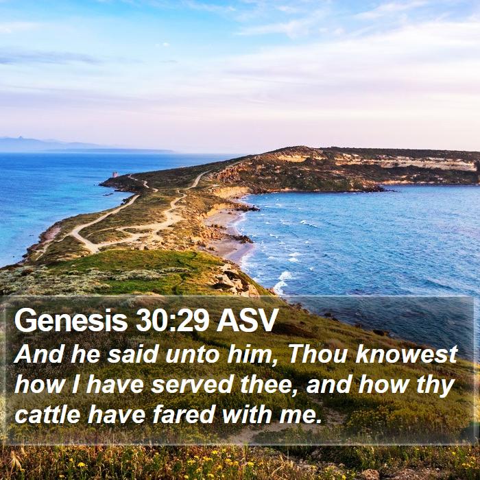 Genesis 30:29 ASV Bible Study