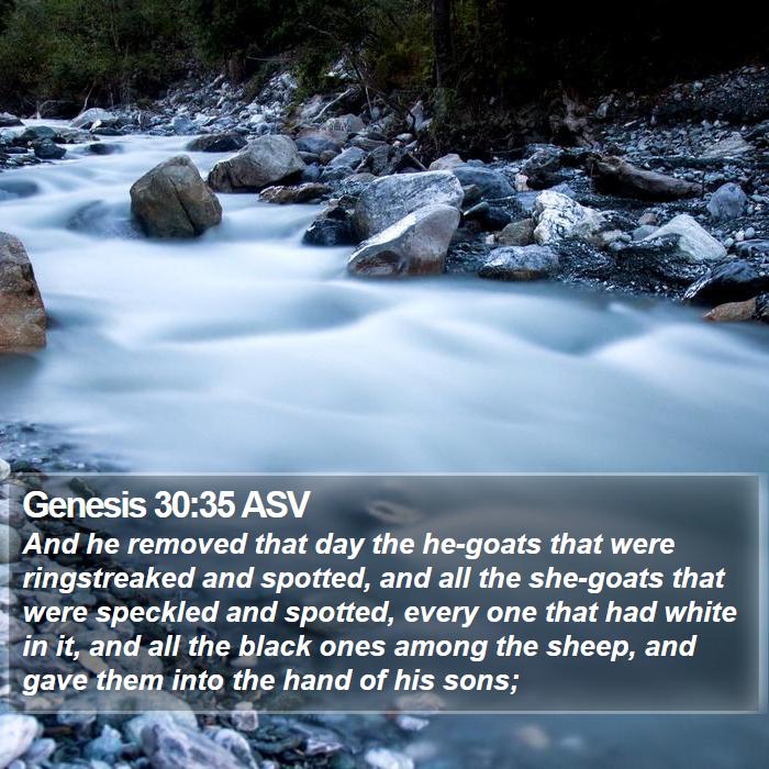 Genesis 30:35 ASV Bible Study