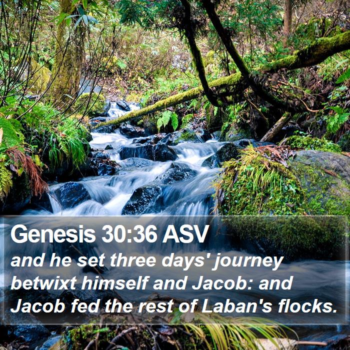 Genesis 30:36 ASV Bible Study