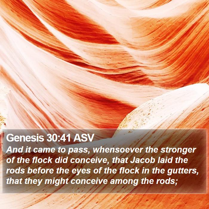 Genesis 30:41 ASV Bible Study