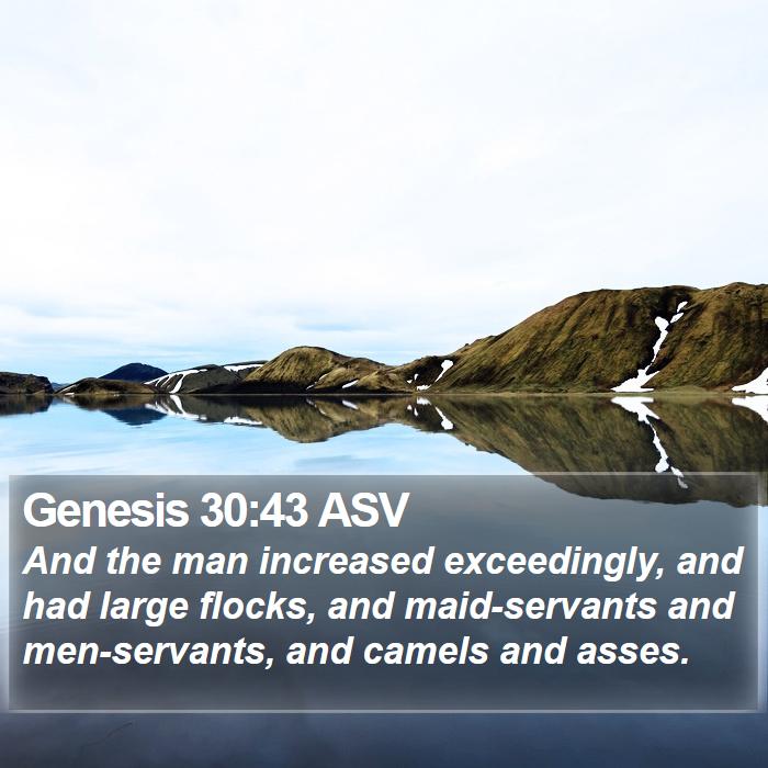 Genesis 30:43 ASV Bible Study