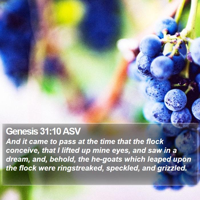 Genesis 31:10 ASV Bible Study