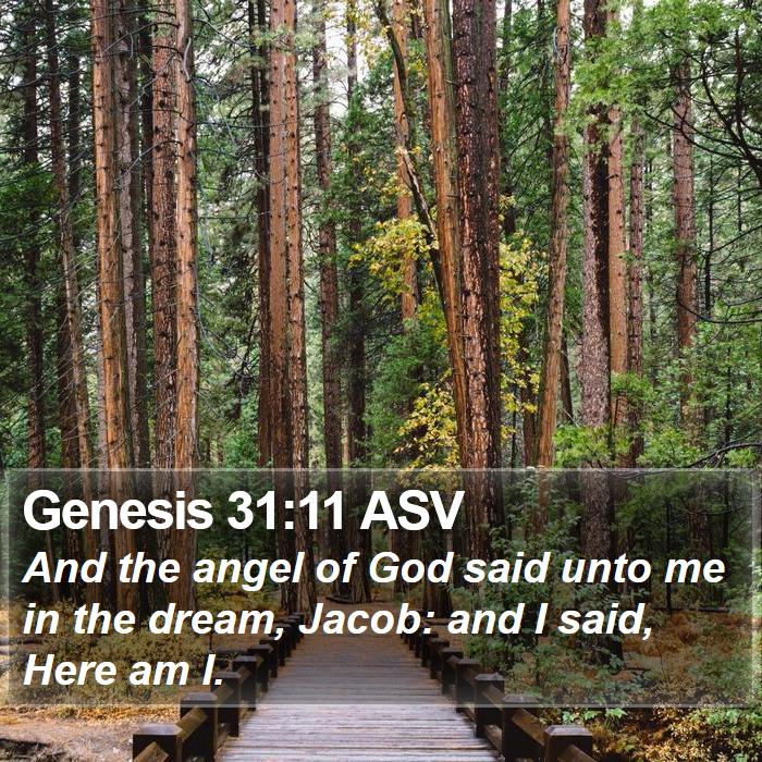 Genesis 31:11 ASV Bible Study