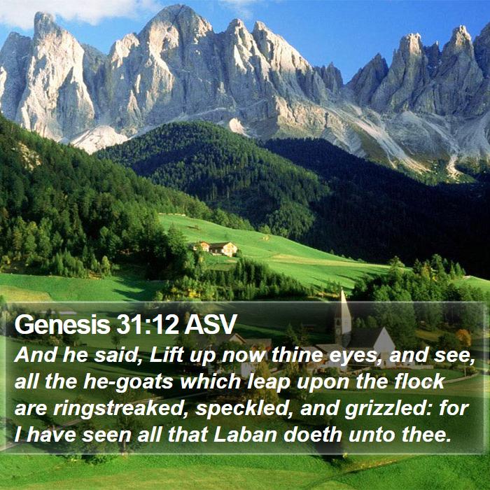 Genesis 31:12 ASV Bible Study