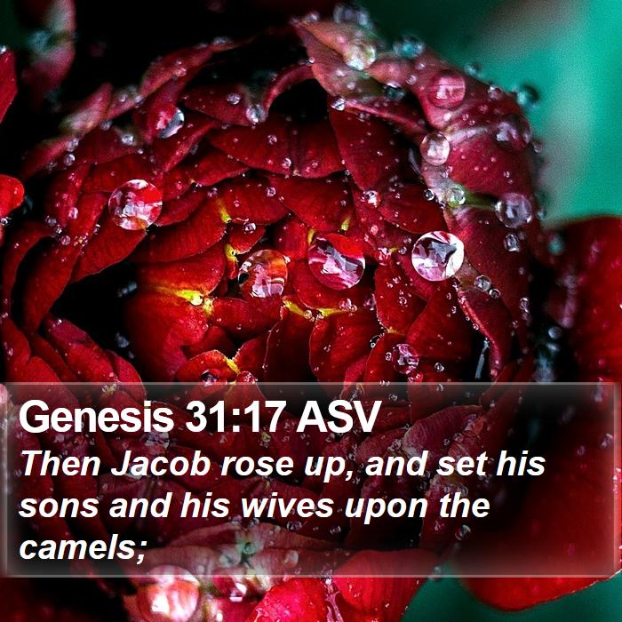 Genesis 31:17 ASV Bible Study