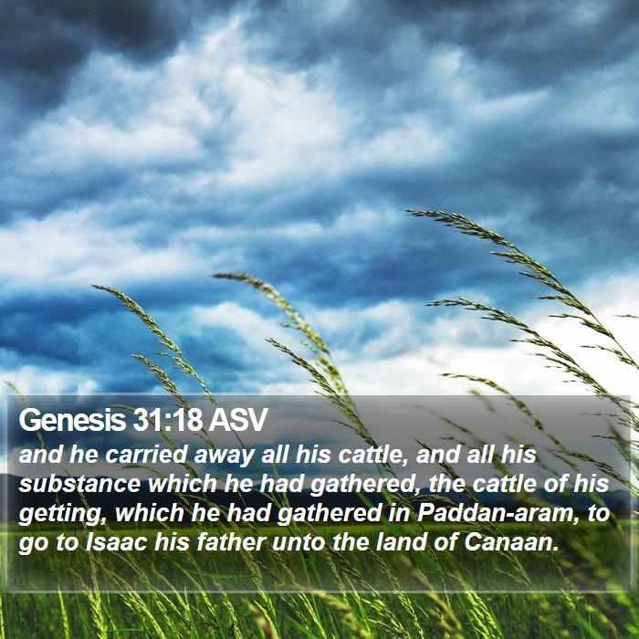 Genesis 31:18 ASV Bible Study