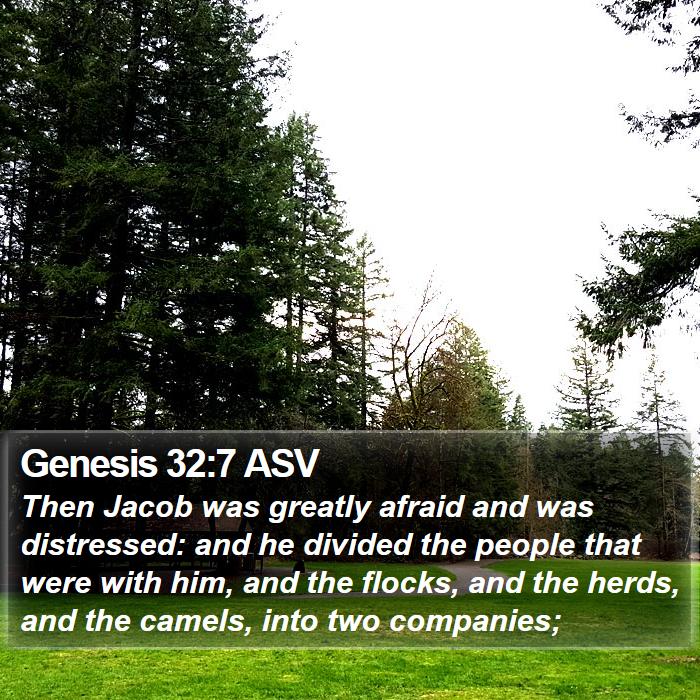 Genesis 32:7 ASV Bible Study