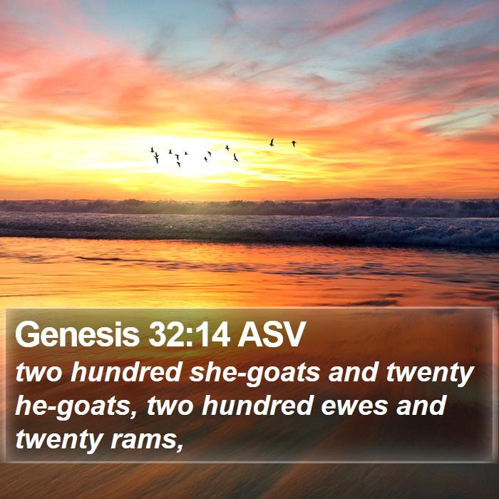 Genesis 32:14 ASV Bible Study