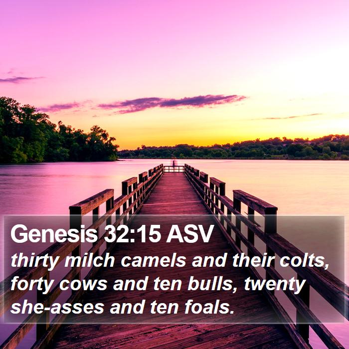 Genesis 32:15 ASV Bible Study