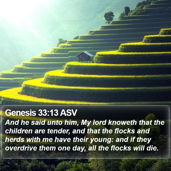 Genesis 33:13 ASV Bible Study