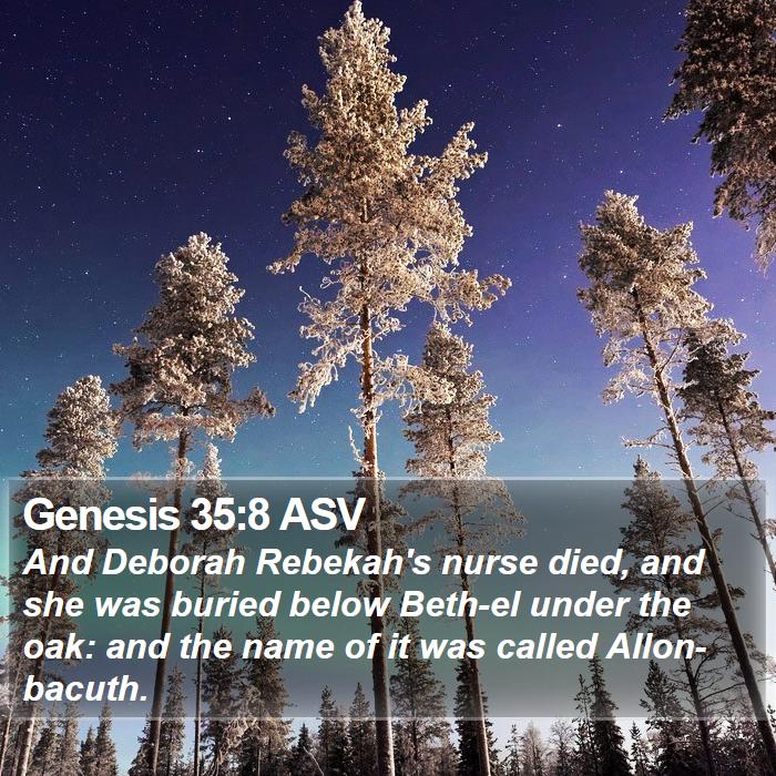 Genesis 35:8 ASV Bible Study