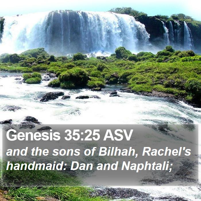 Genesis 35:25 ASV Bible Study