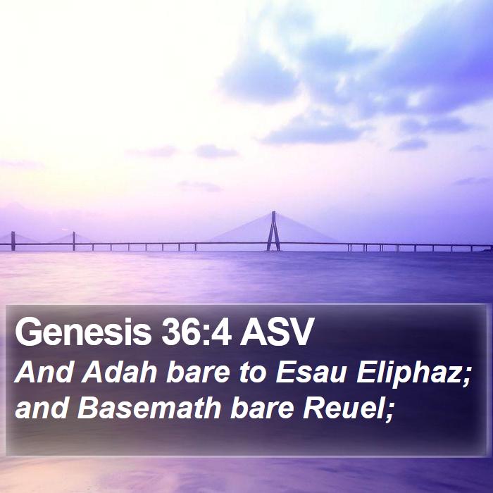 Genesis 36:4 ASV Bible Study