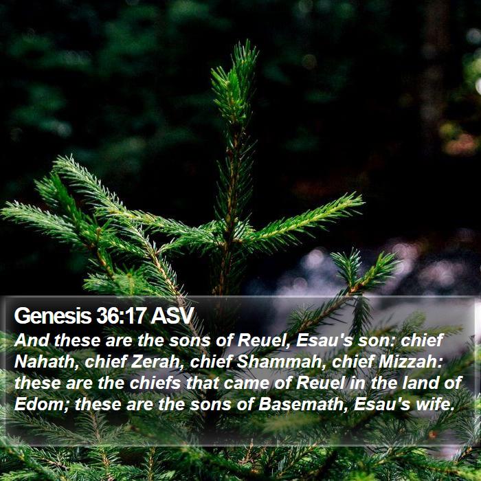 Genesis 36:17 ASV Bible Study