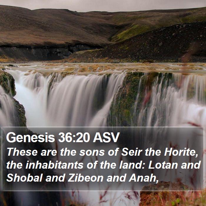 Genesis 36:20 ASV Bible Study