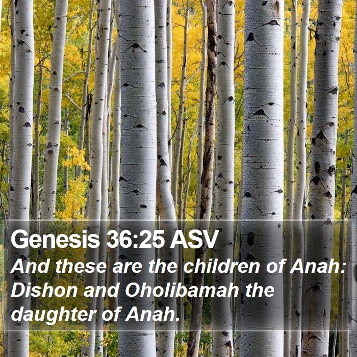 Genesis 36:25 ASV Bible Study