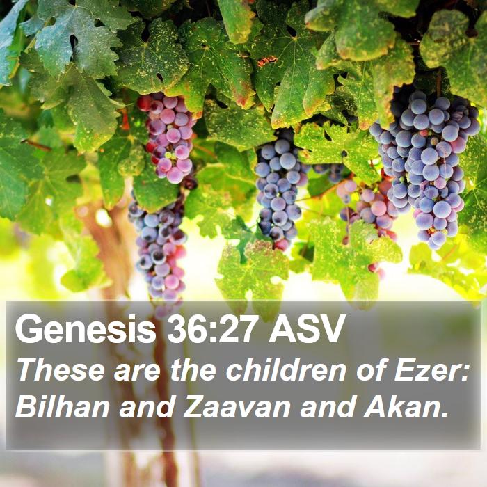 Genesis 36:27 ASV Bible Study