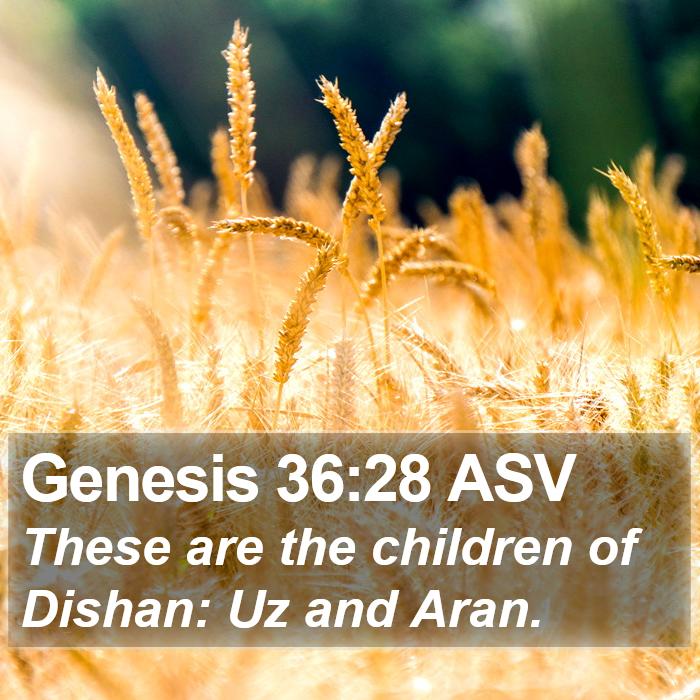 Genesis 36:28 ASV Bible Study