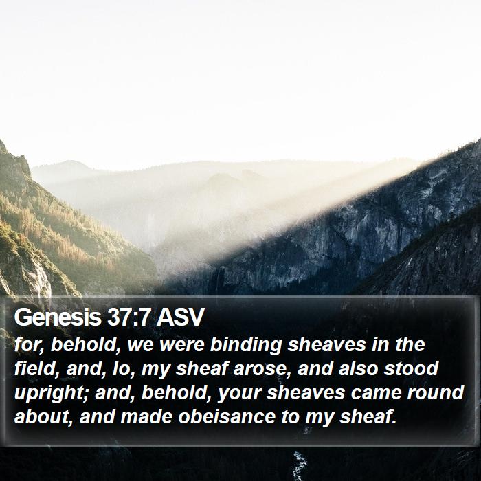 Genesis 37:7 ASV Bible Study