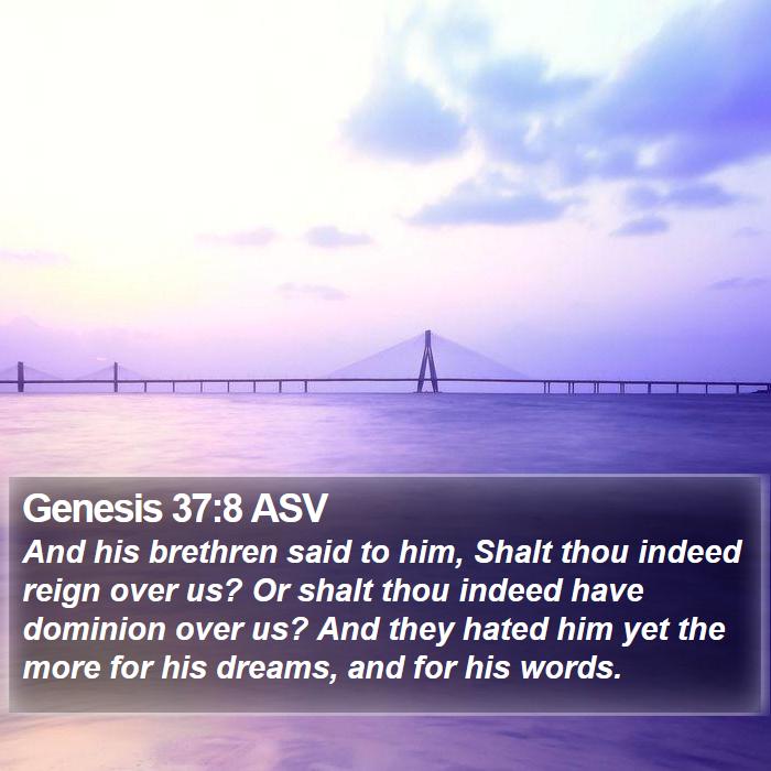 Genesis 37:8 ASV Bible Study