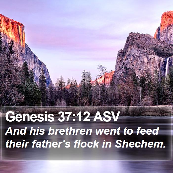 Genesis 37:12 ASV Bible Study